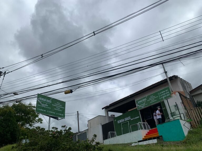 Renova Grass